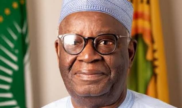 Buhari's Chief of Staff - Ibrahim Gambari